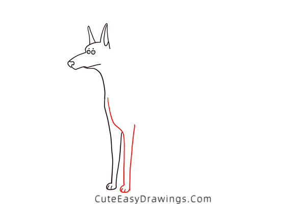 how to draw a doberman - www.cuteeasydrawings.com