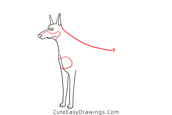 how to draw a doberman - www.cuteeasydrawings.com