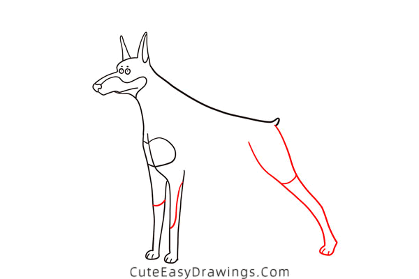 how to draw a doberman - www.cuteeasydrawings.com