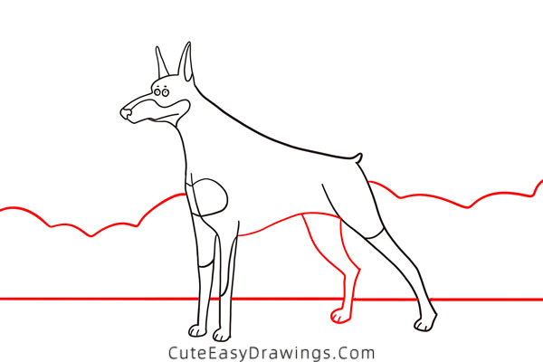 how to draw a doberman - www.cuteeasydrawings.com