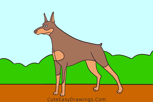 how to draw a doberman - www.cuteeasydrawings.com