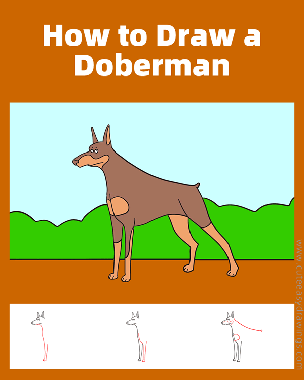 how to draw a doberman - www.cuteeasydrawings.com