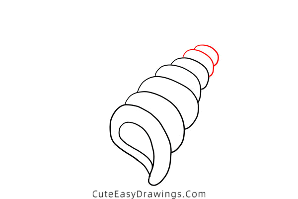 how to draw a shell - www.cuteeasydrawings.com