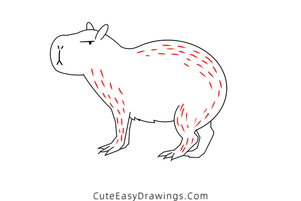 how to draw a capybara easy - www.cuteeasydrawings.com