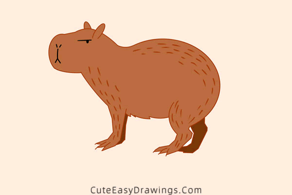 How to Draw a Capybara Easy Step by Step - Cute Easy Drawings