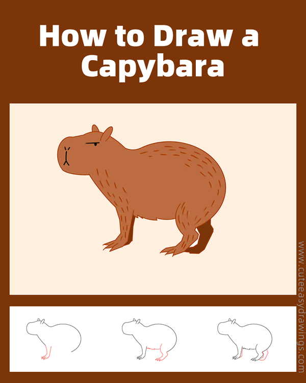 How to Draw a Capybara Easy Step by Step Cute Easy Drawings