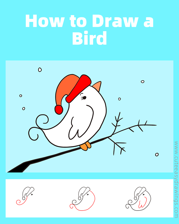 how to draw a winter bird - www.cuteeasydrawings.com