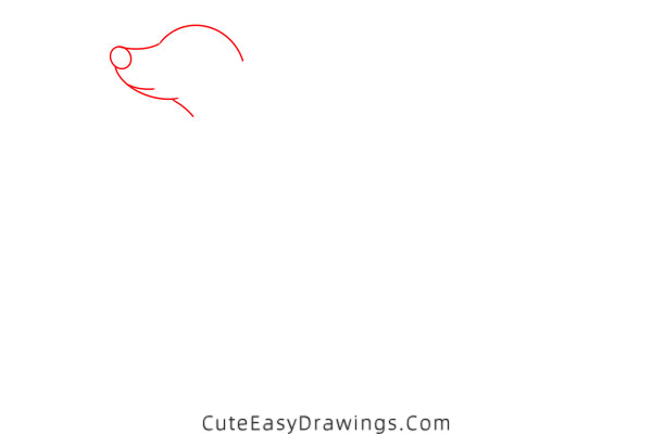 how to draw a dalmatian - www.cuteeasydrawings.com