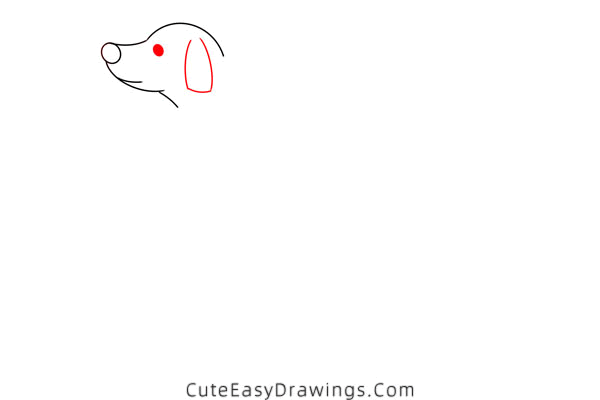 how to draw a dalmatian - www.cuteeasydrawings.com