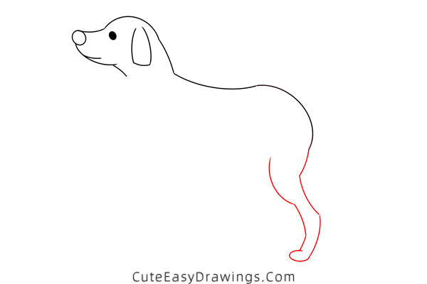 how to draw a dalmatian - www.cuteeasydrawings.com