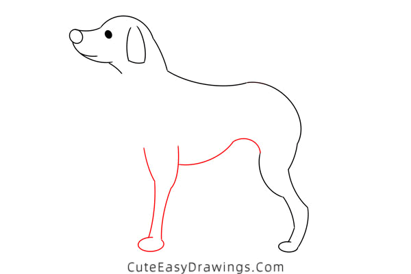 how to draw a dalmatian - www.cuteeasydrawings.com