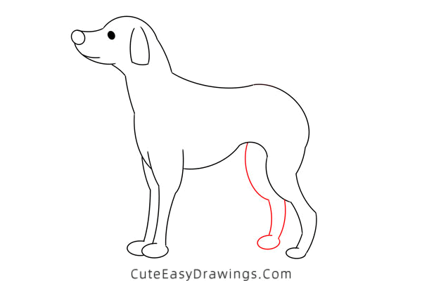 how to draw a dalmatian - www.cuteeasydrawings.com