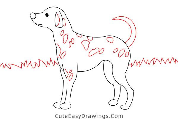 how to draw a dalmatian - www.cuteeasydrawings.com