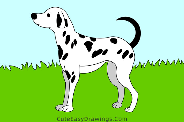 how to draw a dalmatian - www.cuteeasydrawings.com