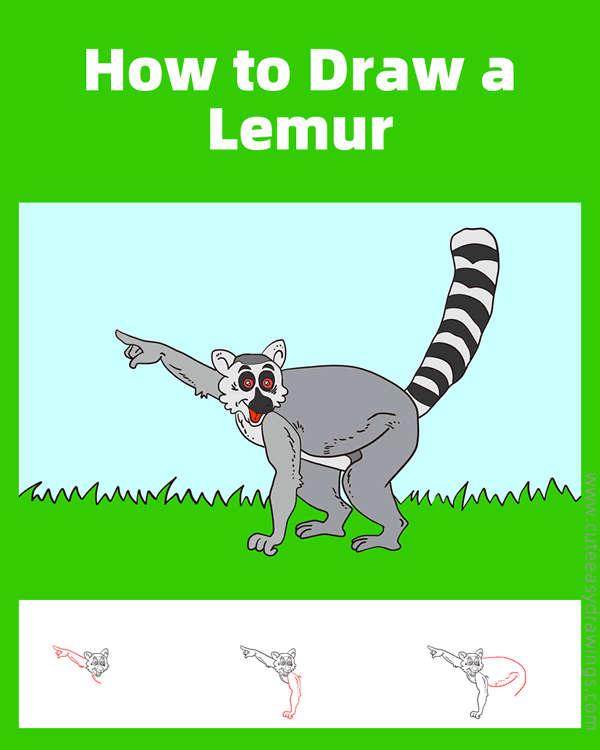 how to draw a lemur - www.cuteeasydrawings.com