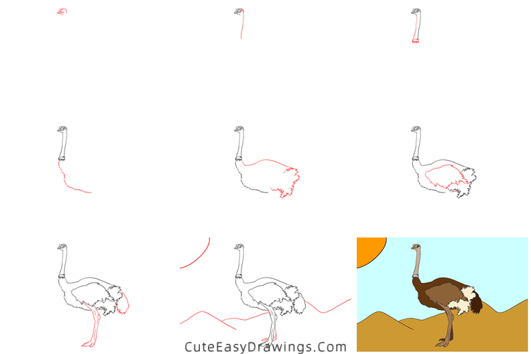 how to draw an ostrich - www.cuteeasydrawings.com