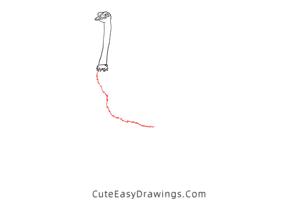 how to draw an ostrich - www.cuteeasydrawings.com