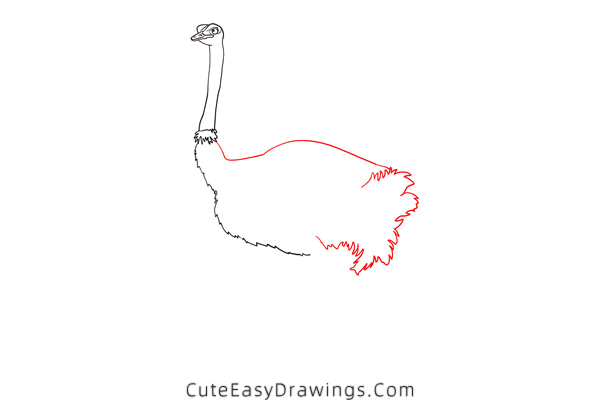 how to draw an ostrich - www.cuteeasydrawings.com