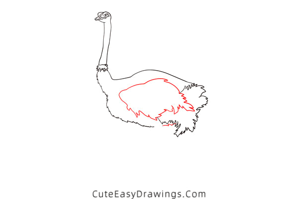 how to draw an ostrich - www.cuteeasydrawings.com