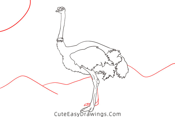 how to draw an ostrich - www.cuteeasydrawings.com