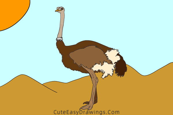 how to draw an ostrich - www.cuteeasydrawings.com