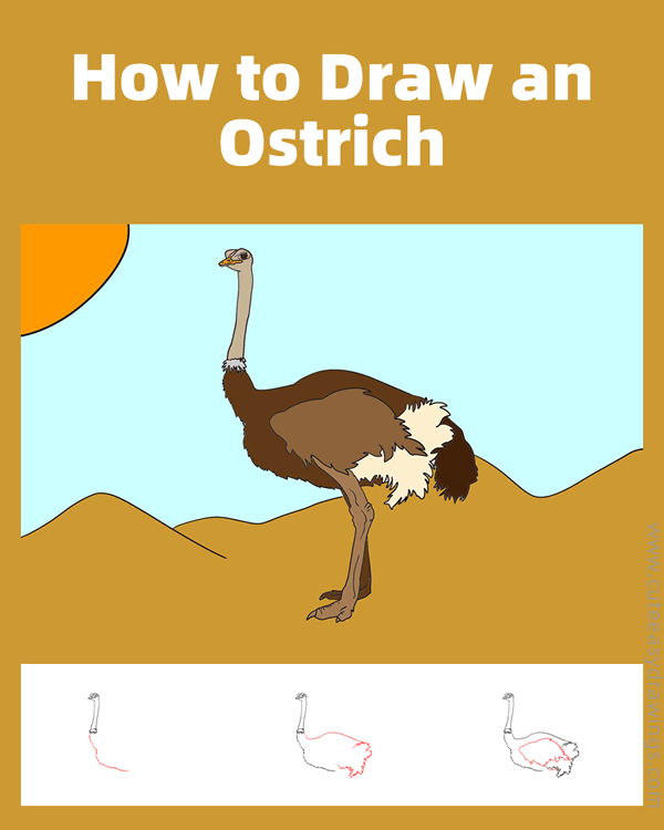 How to Draw an Ostrich Step by Step Cute Easy Drawings
