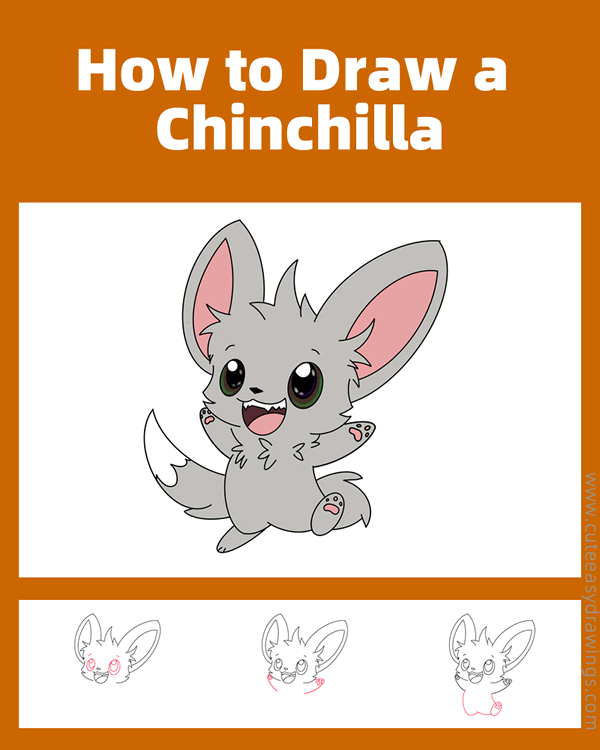 how to draw a cute chinchilla - www.cuteeasydrawings.com