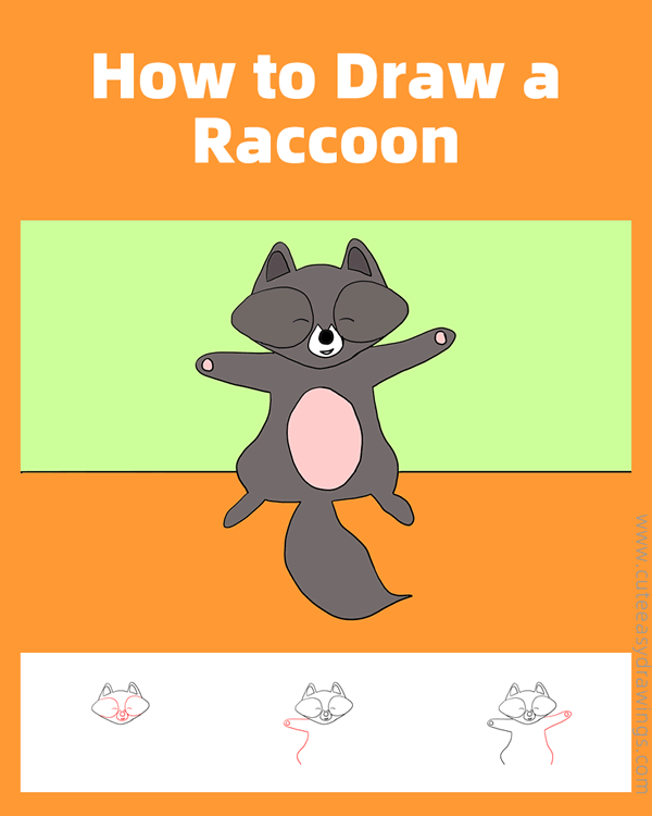 how to draw a raccoon dog - www.cuteeasydrawings.com