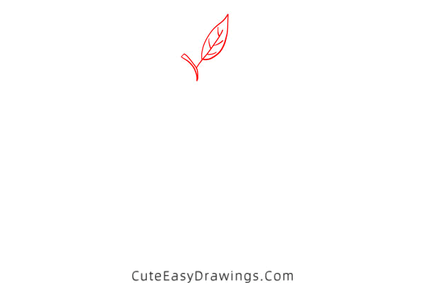 how to draw an avocado - www.cuteeasydrawings.com