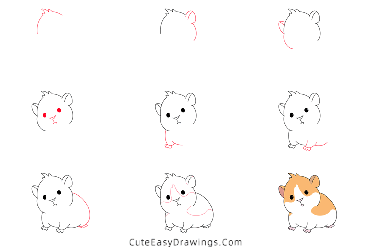 how to draw a hamster - www.cuteeasydrawings.com