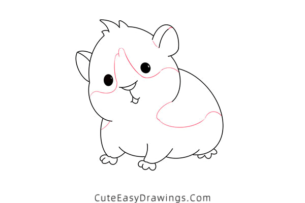 how to draw a hamster - www.cuteeasydrawings.com