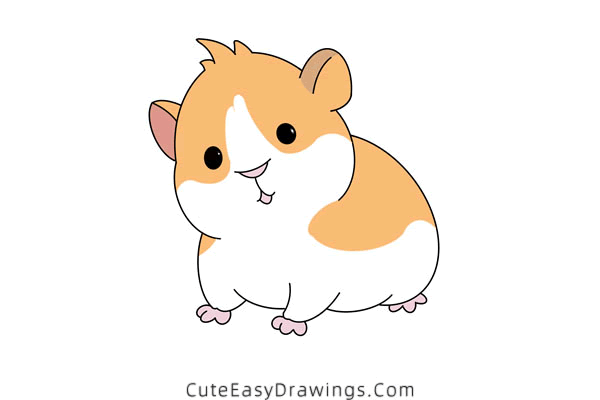 how to draw a hamster - www.cuteeasydrawings.com