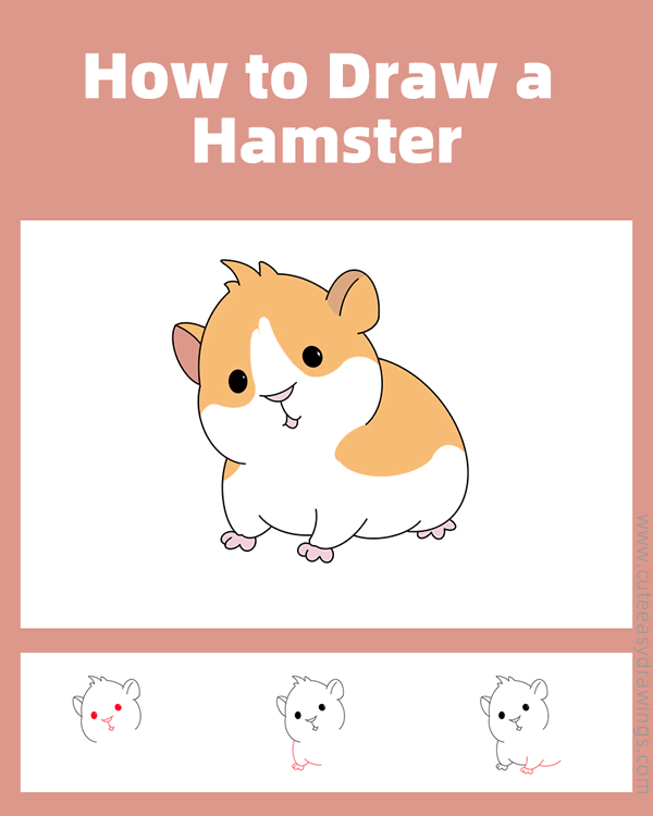 how to draw a hamster - www.cuteeasydrawings.com