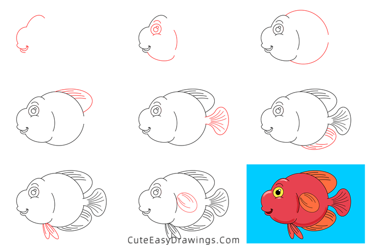 How to Draw a Parrot Fish Step by Step Cute Easy Drawings