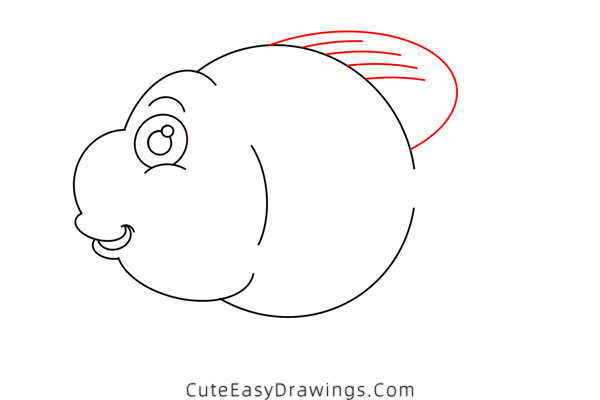 how to draw a parrot fish - www.cuteeasydrawings.com