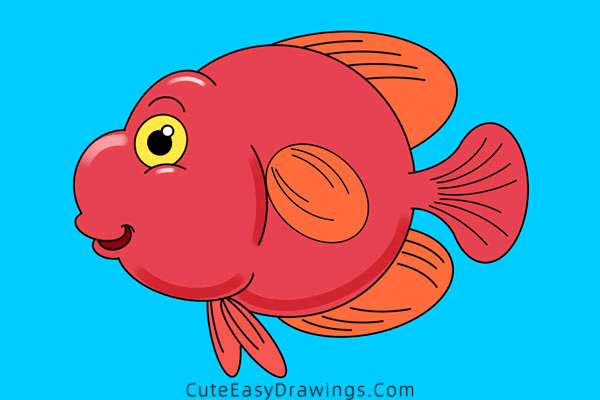 how to draw a parrot fish - www.cuteeasydrawings.com