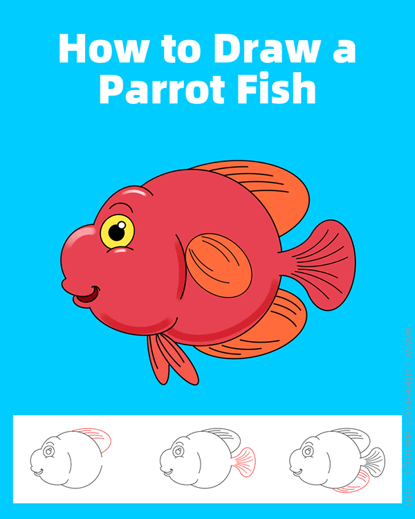 How to Draw a Parrot Fish Step by Step Cute Easy Drawings