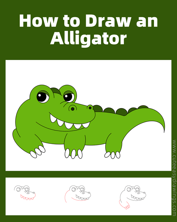 how to draw an alligator - www.cuteeasydrawings.com