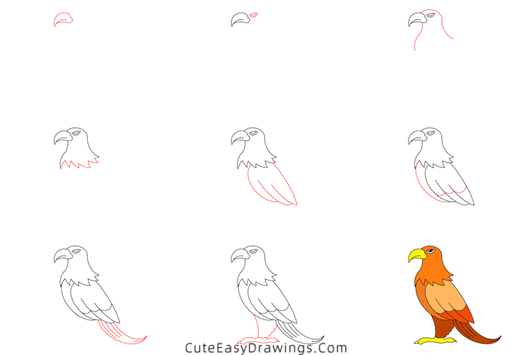 how to draw an eagle - www.cuteeasydrawings.com