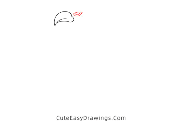 how to draw an eagle - www.cuteeasydrawings.com