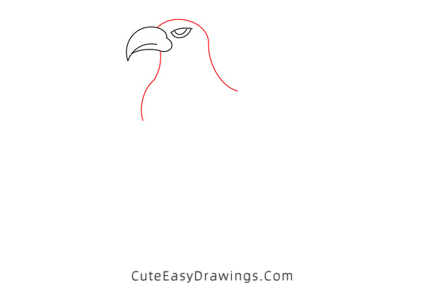 how to draw an eagle - www.cuteeasydrawings.com