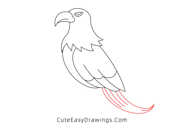 how to draw an eagle - www.cuteeasydrawings.com