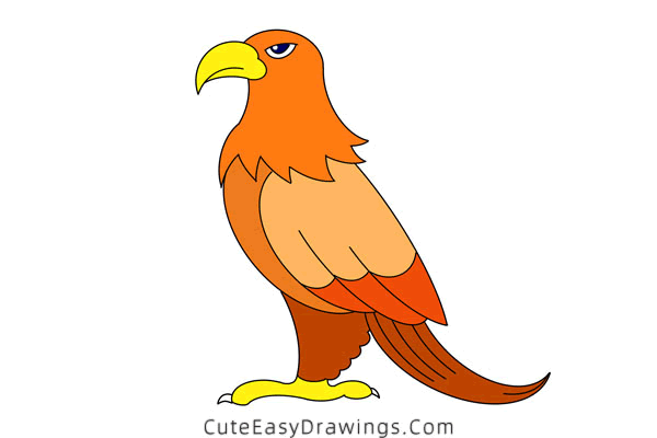 how to draw an eagle - www.cuteeasydrawings.com