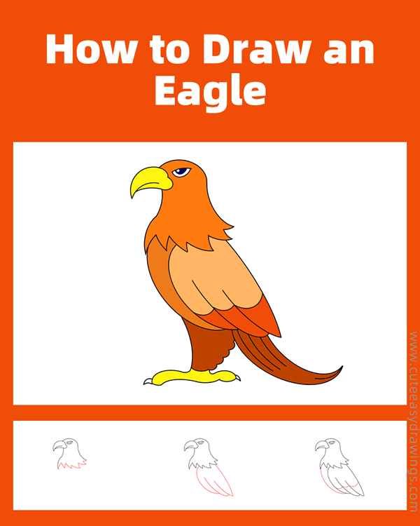 how to draw an eagle - www.cuteeasydrawings.com