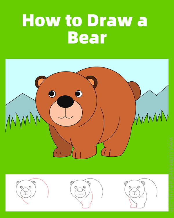 how to draw a bear - www.cuteeasydrawings.com