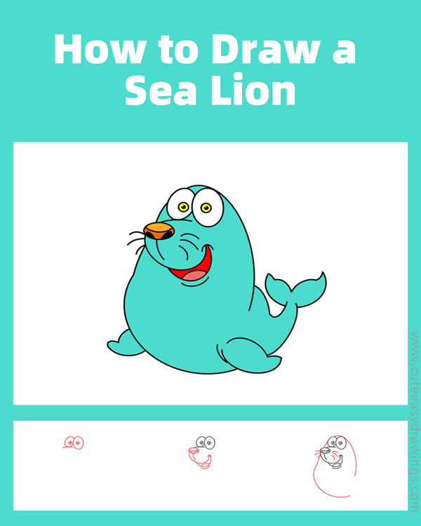 how to draw a funny sea lion - www.cuteeasydrawings.com