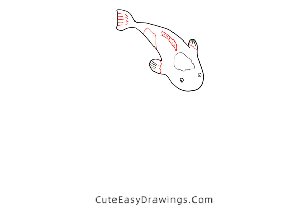 how to draw a koi fish - www.cuteeasydrawings.com