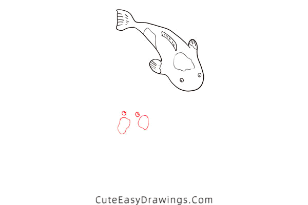 how to draw a koi fish - www.cuteeasydrawings.com