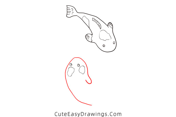 how to draw a koi fish - www.cuteeasydrawings.com