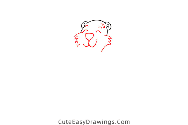 how to draw a marmot - www.cuteeasydrawings.com